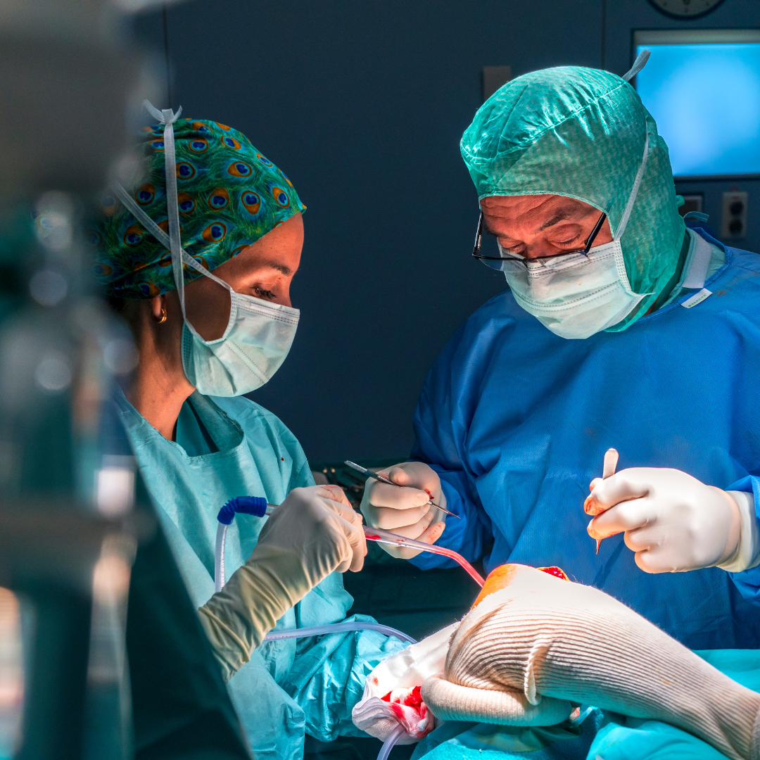 Protescal Collections – BioD Medica